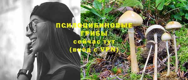 винт Арсеньев