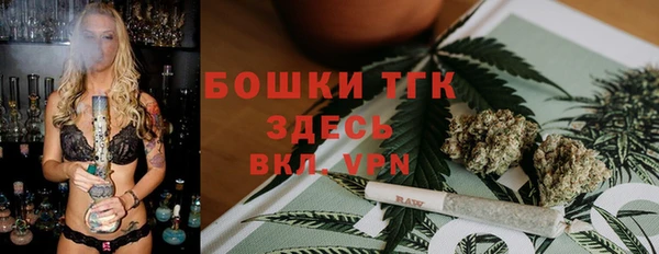 дмт Аркадак