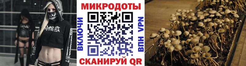 наркошоп  Пустошка  Галлюциногенные грибы GOLDEN TEACHER 