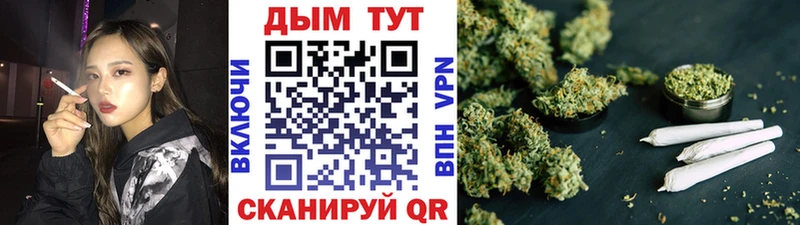 Бошки марихуана THC 21%  Пустошка 